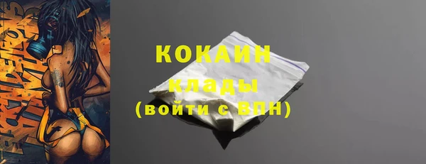 бошки Белокуриха
