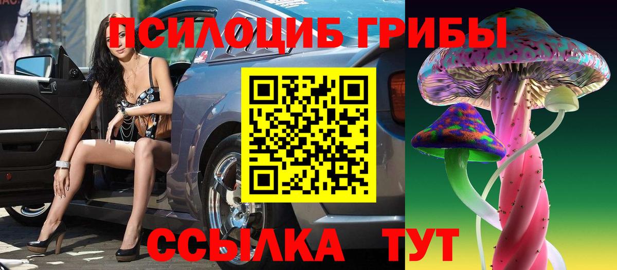 Минеральные Воды  Псилоцибиновые грибы Psilocybe  что такое наркотик  Вход с VPN 
