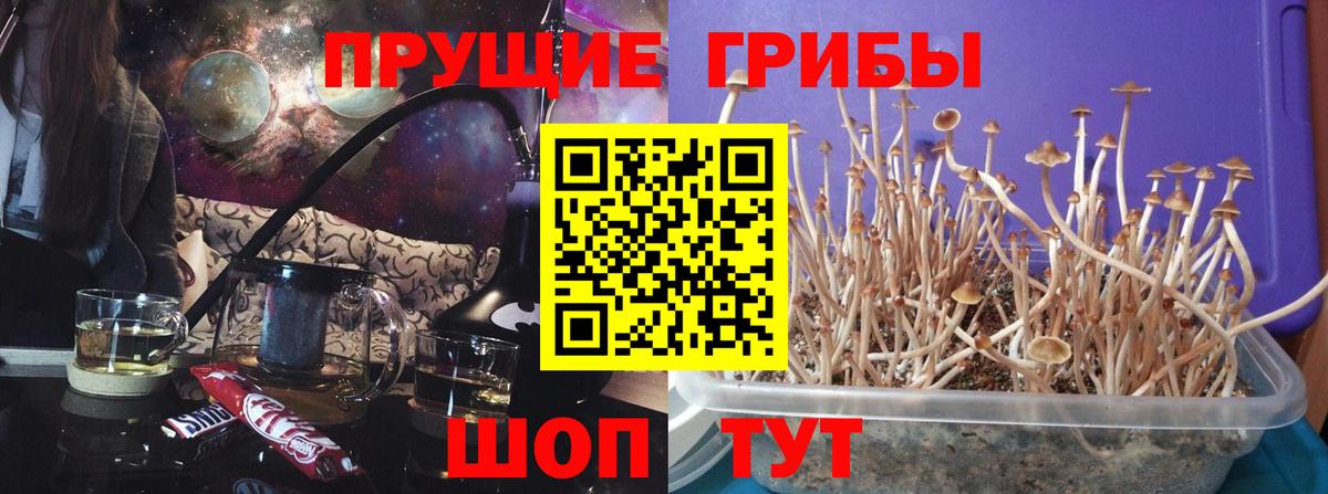 Галлюциногенные грибы Magic Shrooms Минеральные Воды